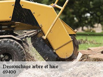 Dessouchage arbre et haie  69400