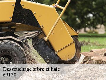 Dessouchage arbre et haie 69170