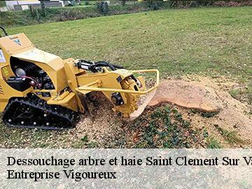 Dessouchage arbre et haie saint-clement-sur-valsonne-69170 LC Elagage