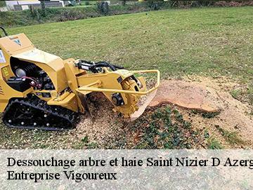 Dessouchage arbre et haie  saint-nizier-d-azergues-69870 LC Elagage