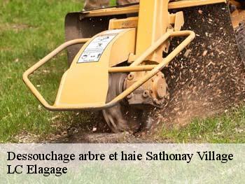 Dessouchage arbre et haie  sathonay-village-69580 LC Elagage