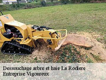 Dessouchage arbre et haie  la-rodiere-69700 LC Elagage