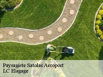 Paysagiste  satolas-aeroport-69125 LC Elagage