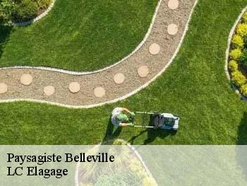 Paysagiste  belleville-69220 LC Elagage