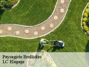 Paysagiste  brullioles-69690 LC Elagage