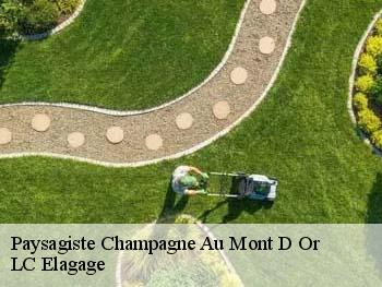 Paysagiste  champagne-au-mont-d-or-69410 LC Elagage