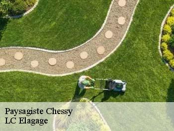 Paysagiste  chessy-69380 LC Elagage