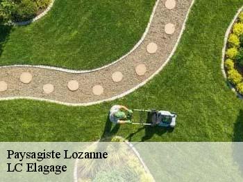 Paysagiste  lozanne-69380 LC Elagage