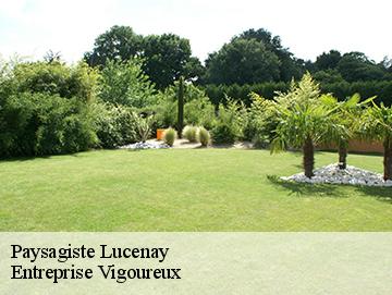 Paysagiste lucenay-69480 LC Elagage