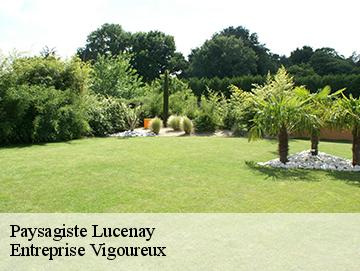 Paysagiste  lucenay-69480 LC Elagage