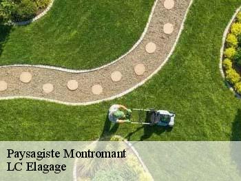 Paysagiste  montromant-69610 LC Elagage