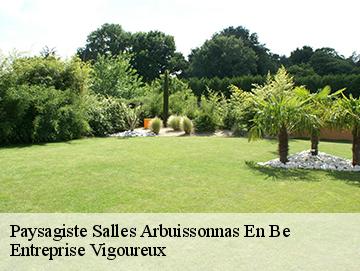 Paysagiste salles-arbuissonnas-en-be-69460 Entreprise Vigoureux