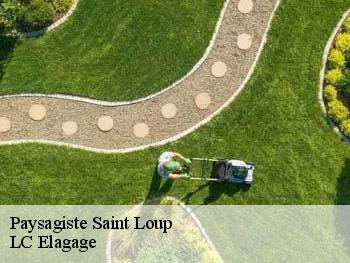 Paysagiste  saint-loup-69490 LC Elagage