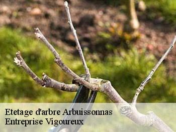 Etetage d'arbre arbuissonnas-69460 Entreprise Vigoureux