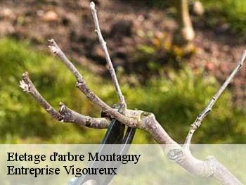 Etetage d'arbre montagny-69700 Entreprise Vigoureux