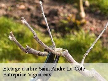 Etetage d'arbre saint-andre-la-cote-69440 LC Elagage