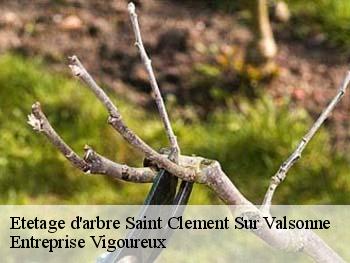 Etetage d'arbre  saint-clement-sur-valsonne-69170 LC Elagage