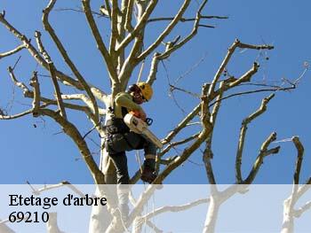 Etetage d'arbre 69210