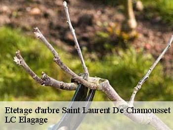 Etetage d'arbre  saint-laurent-de-chamousset-69930 LC Elagage